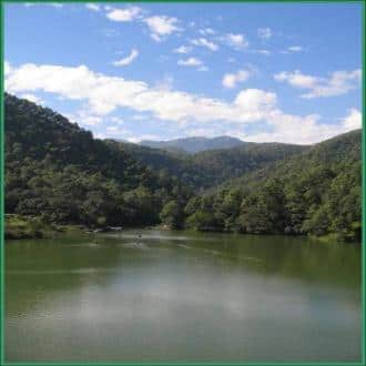 Stay In A Camping Ground In Nainital UK, Nainital 4